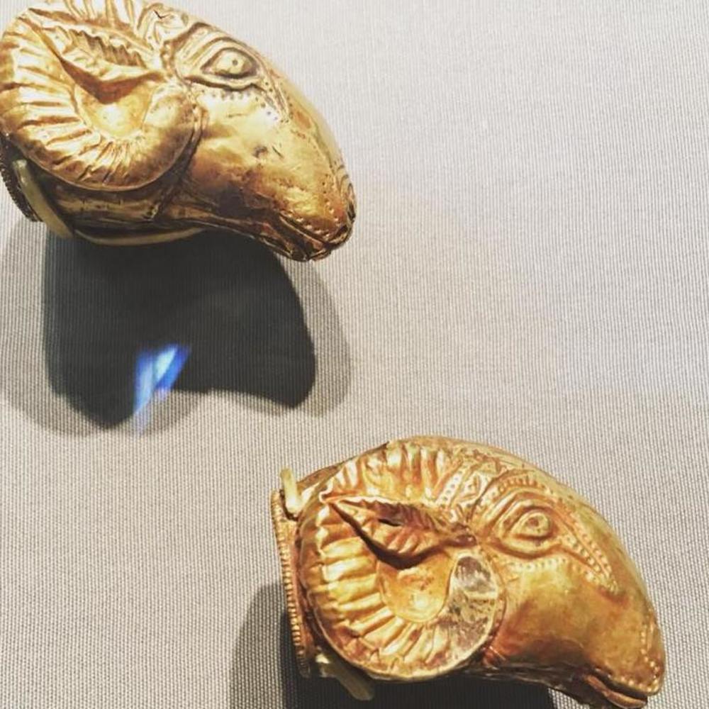 Meet your Posher, Angie